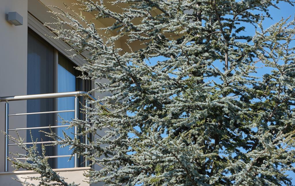 Villa Evergreen Kandiye Dış mekan fotoğraf
